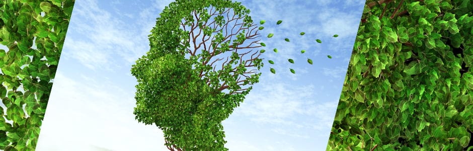 tree brain - terapia psychologiczna